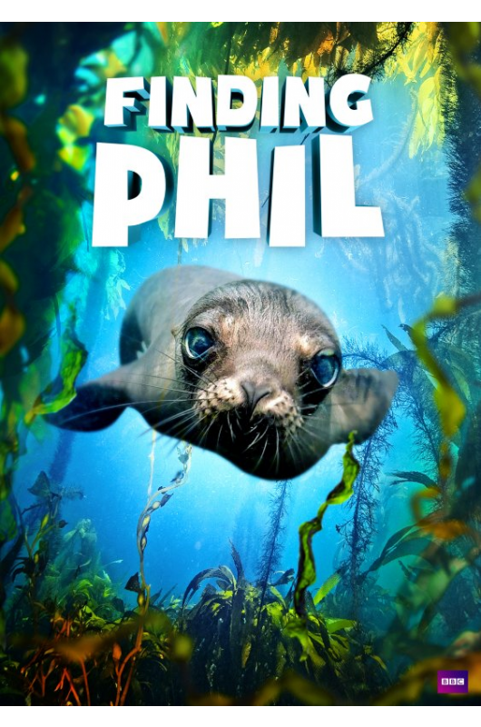 Finding Phil